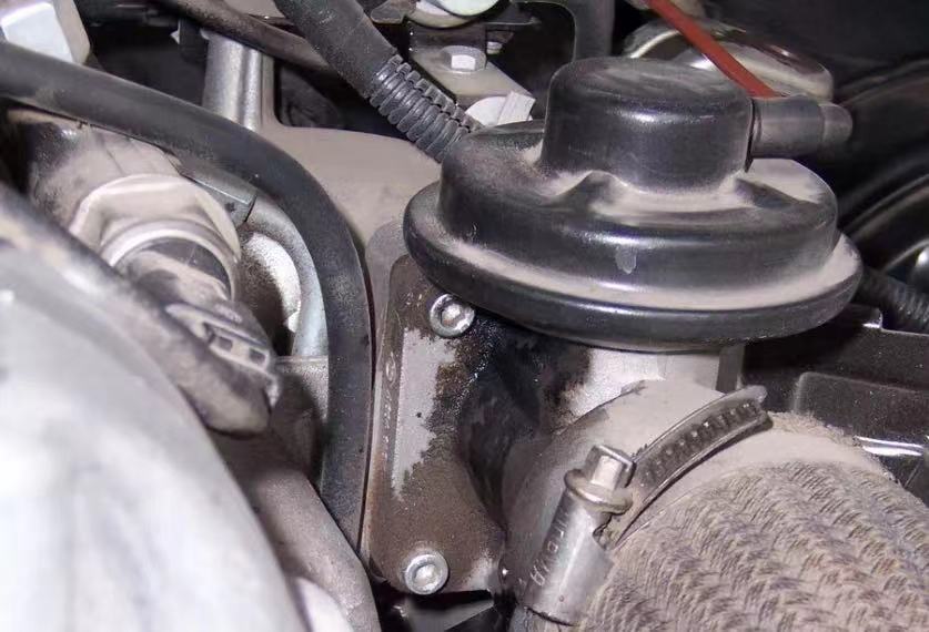 1639146365242684.jpeg WechatIMG162.jpeg