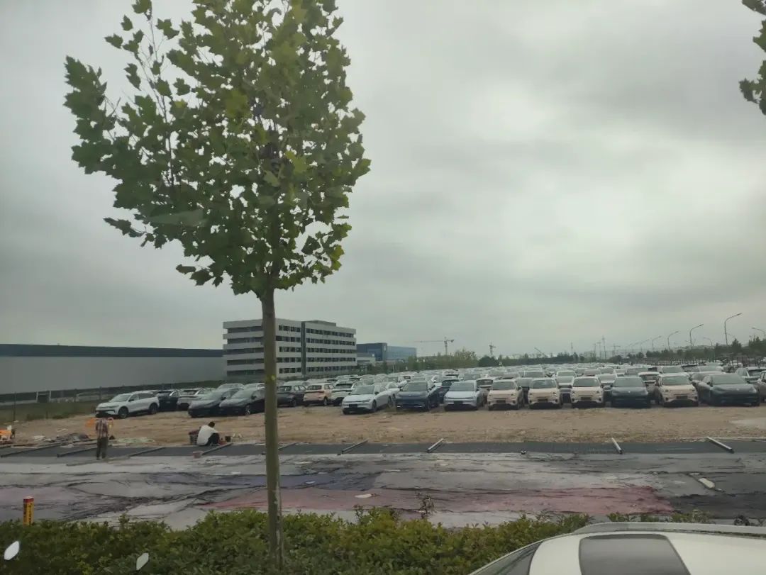 1723791141385375.jpeg 640-4.jpeg